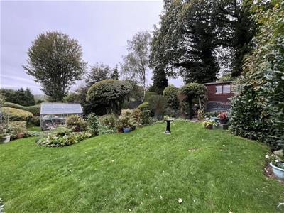 Picture 25